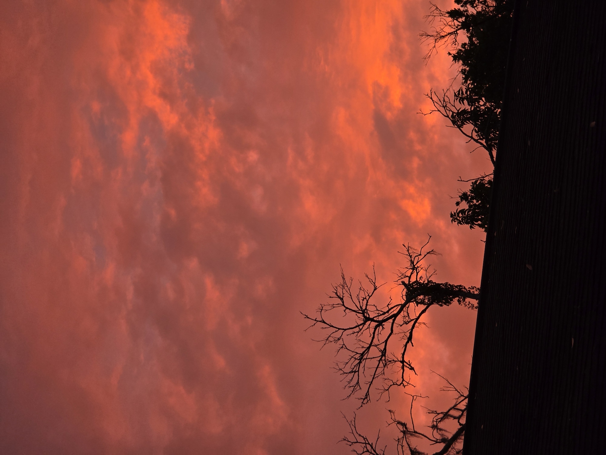 A vibrant sunrise sky in fiery shades of orange and red, with silhouettes of bare, twisted tree branches overhanging a dark roof.