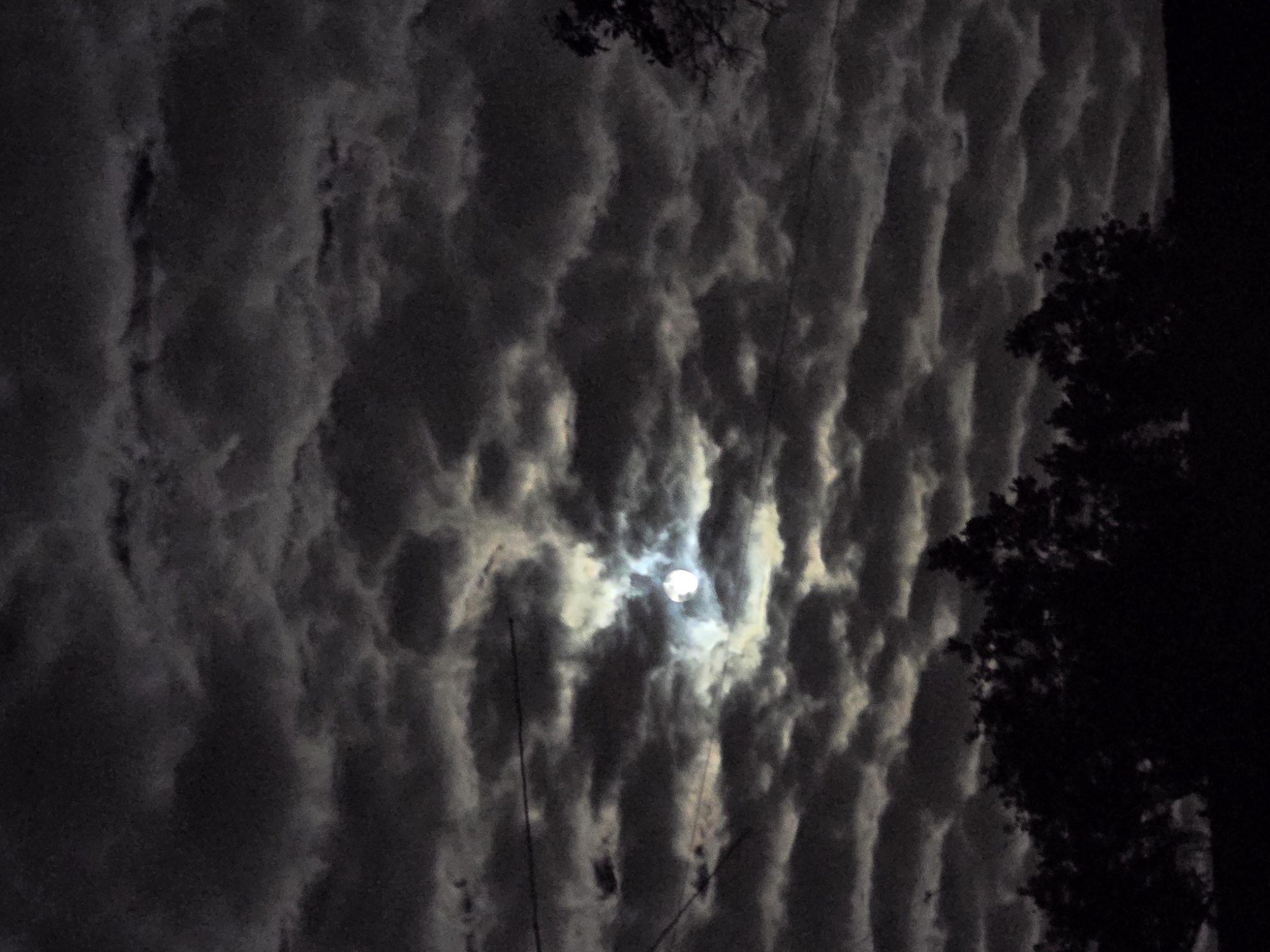 A moody night sky with a bright moon partially obscured by thick, textured clouds, with silhouettes of tree tops visible at the bottom.